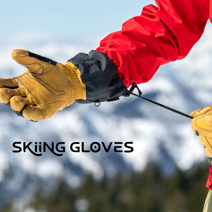 Ski_gloves_cat